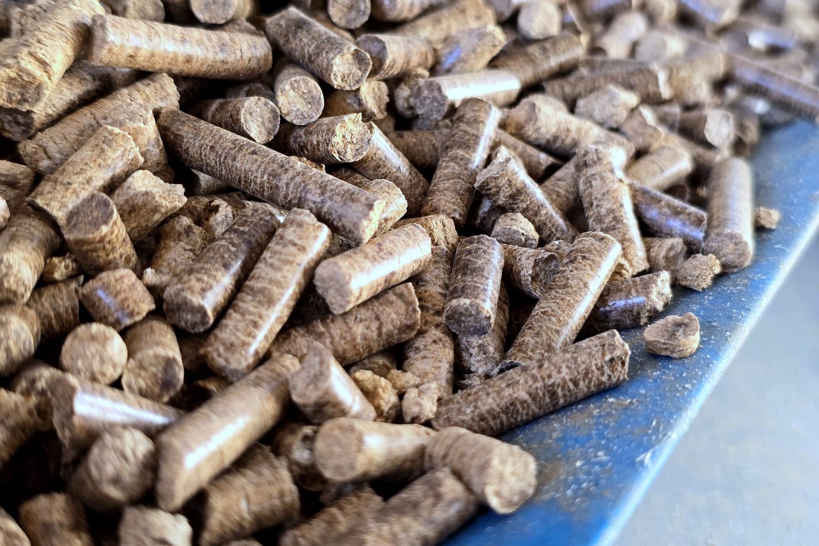 Holzpellets in Nahaufnahme