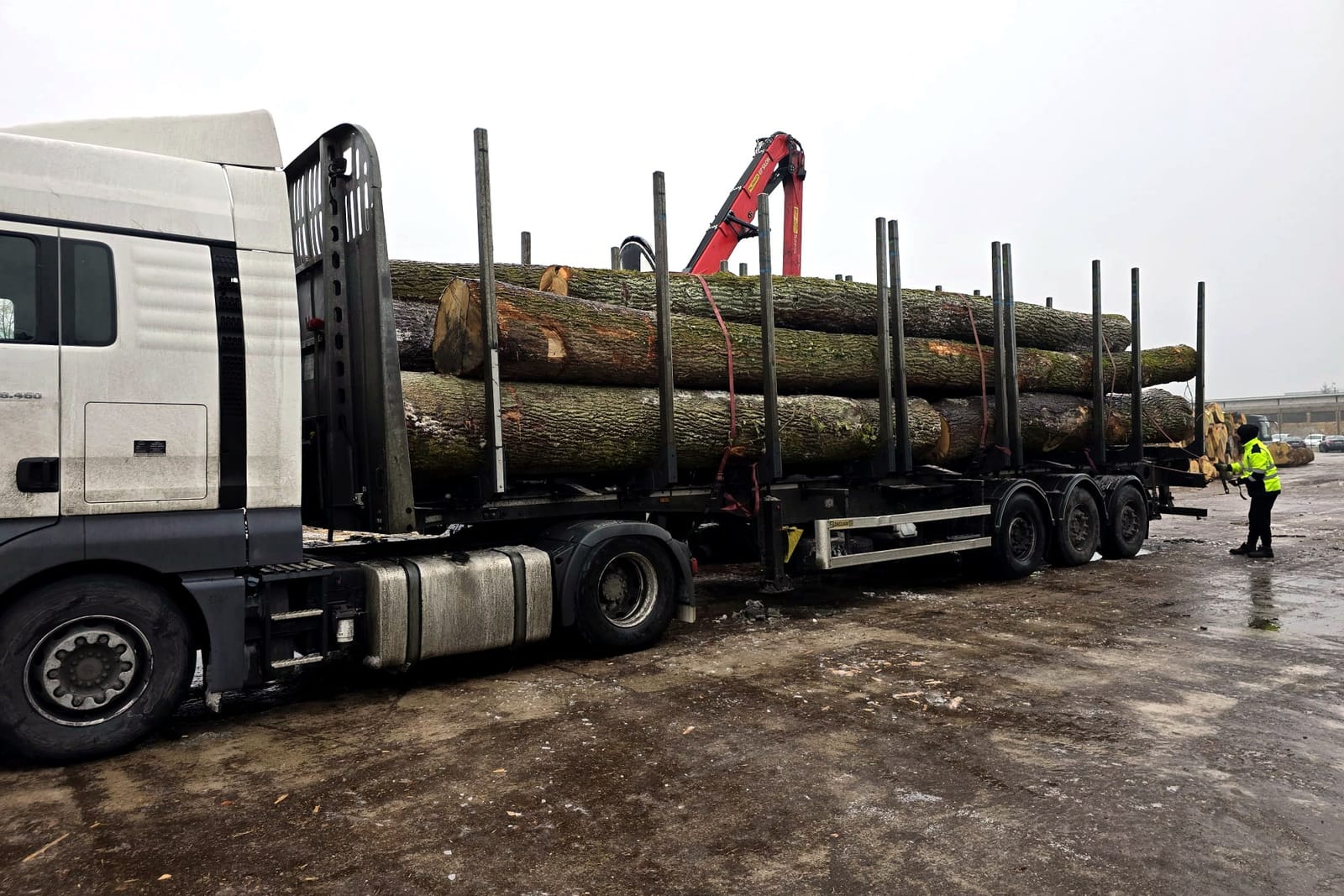 Holztransportzug mit Rundholz beladen