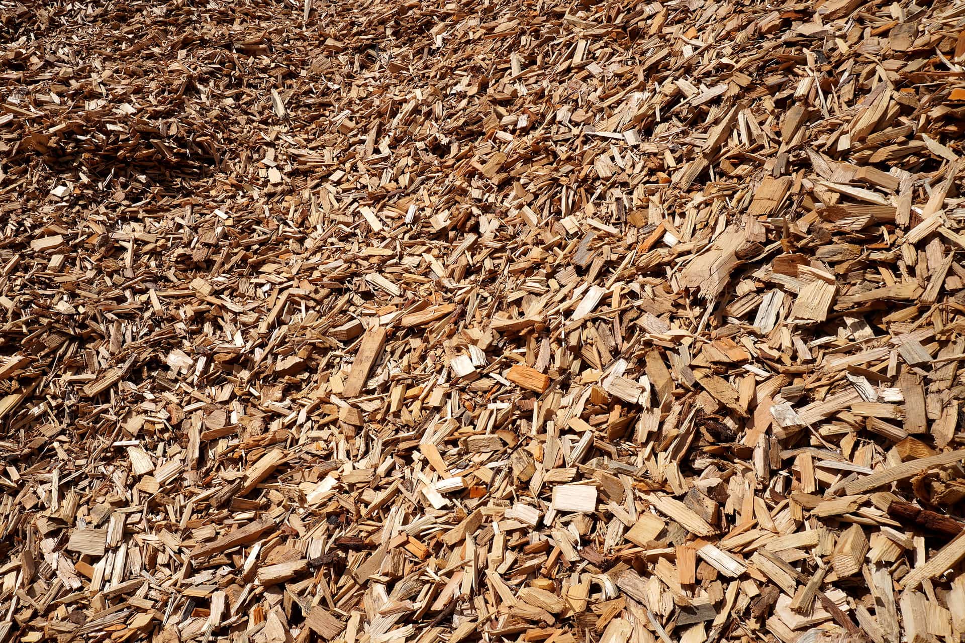 Wood chips close-up, fuel fraction