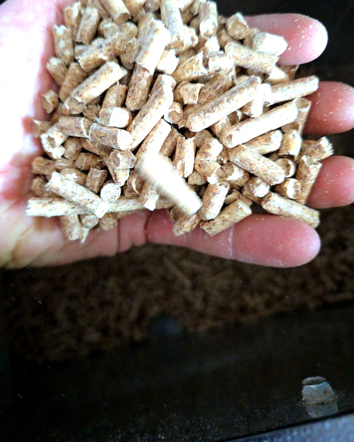 Pellet drzewny na dłoni, widoczna frakcja granulatu