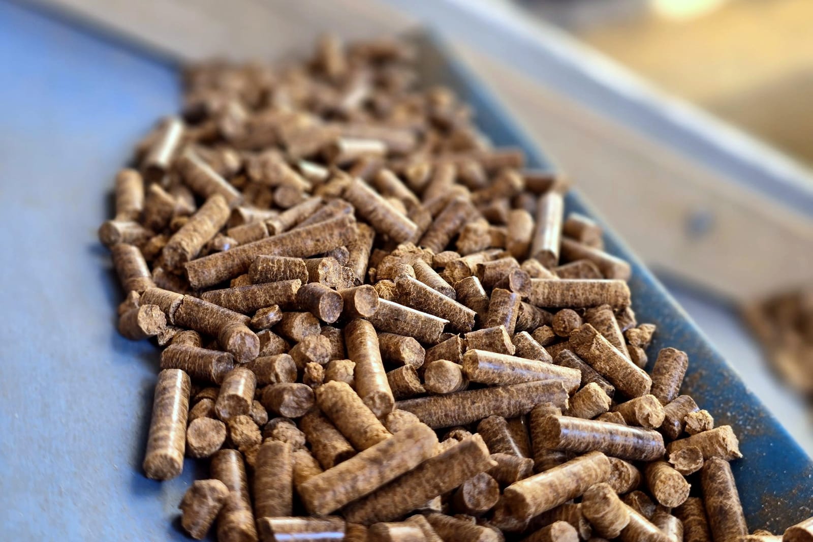 Pellet drzewny na taśmie podającej podczas produkcji