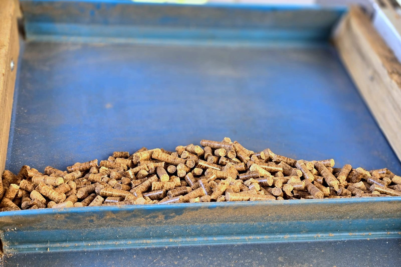 Pellet w zsypie linii produkcyjnej