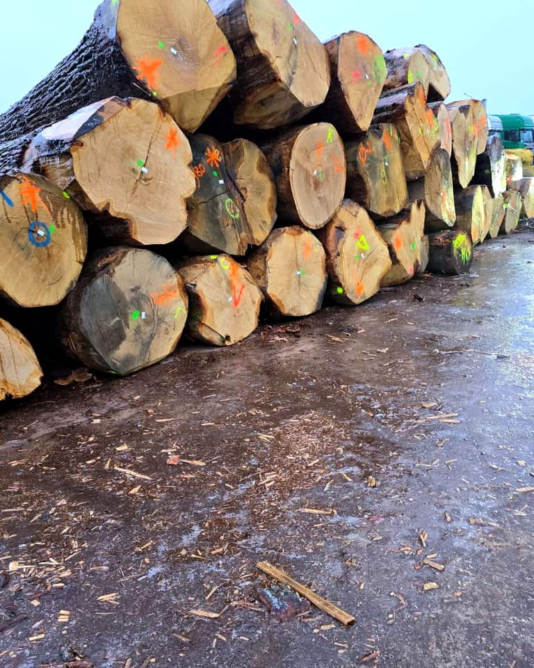 Торці колод із лісовим маркуванням і номерами партій